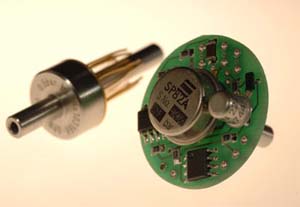 SP82_T SP82_T