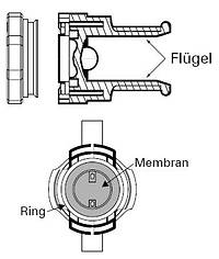 844fluegel